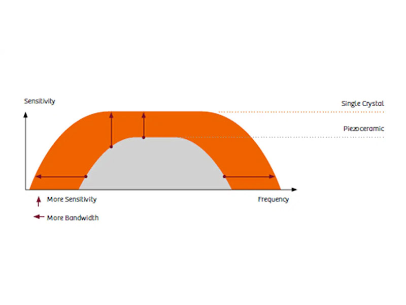 Sonde per Ecografo Acuson Siemens Single Crystal