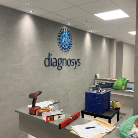 Diagnosys – Foggia - durante i lavori (8)