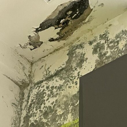 Sanitas – Bisceglie - prima (4)