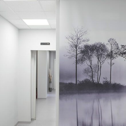 domus-medica-2-medical-solutions-consulting